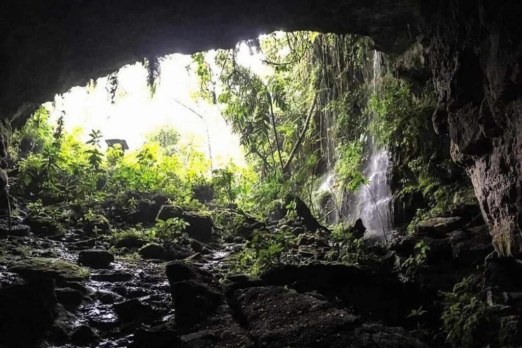 conocer el huila colombia cueva de los guacharos