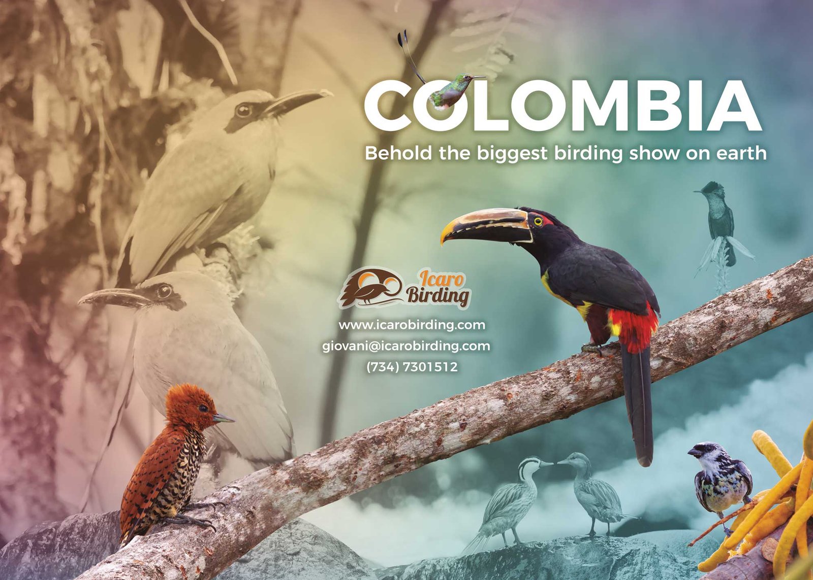 neurekas diseño de pendon gran formato con aves muy bacano